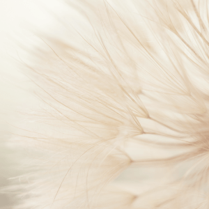 Why is Everyone so Loud