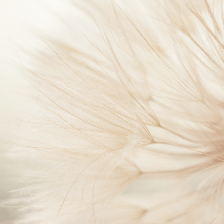 Why is Everyone so Loud